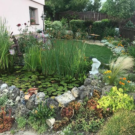 Apartament Privat Klonga Smreczany Zewnętrze zdjęcie